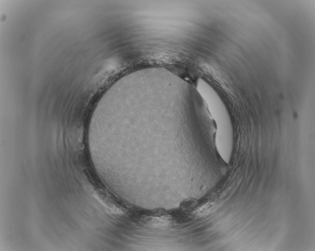 X0000088470548200706121532