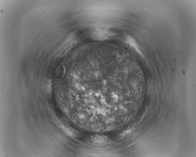 X0000088470549200706121532