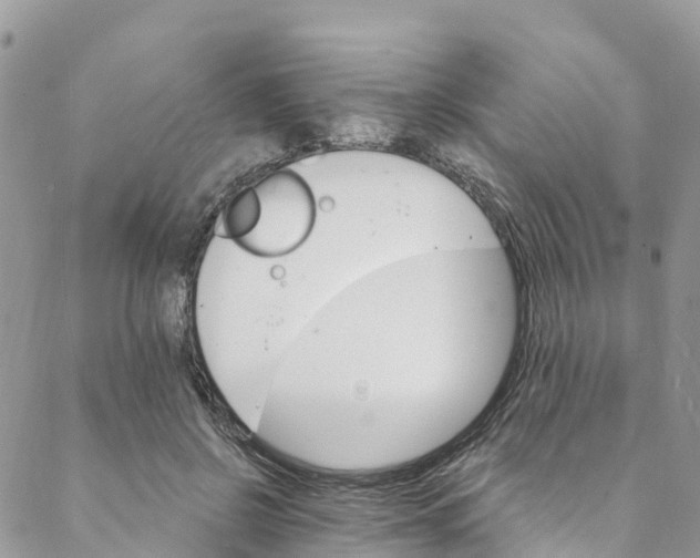 X0000088470550200706121532