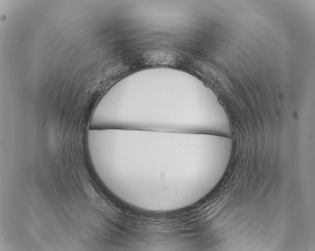 X0000088470551200706121532