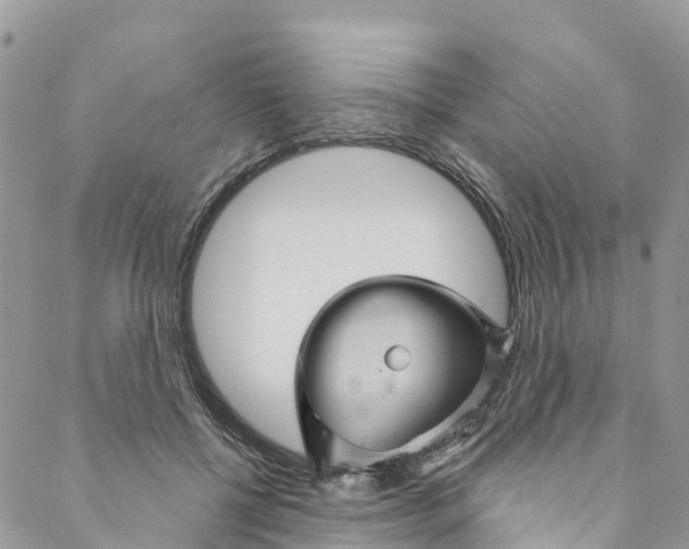 X0000088470552200706121532