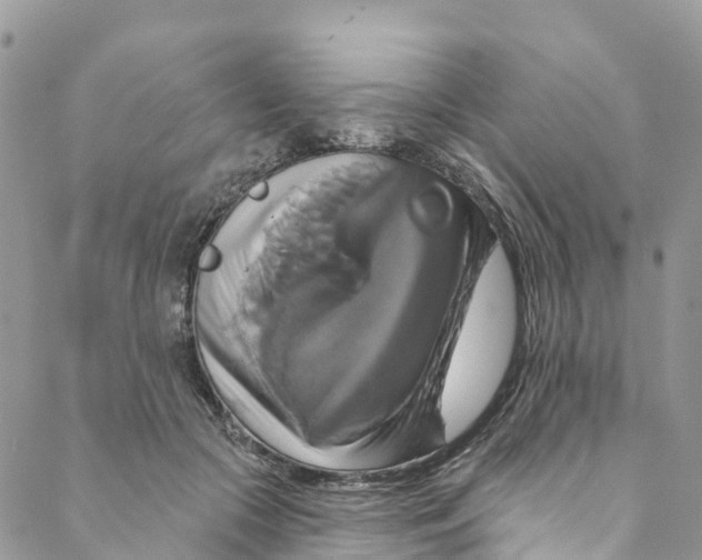 X0000088470553200706121532