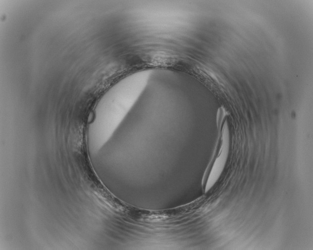 X0000088470554200706121532