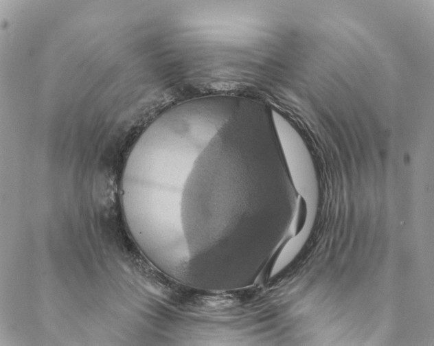 X0000088470555200706121532