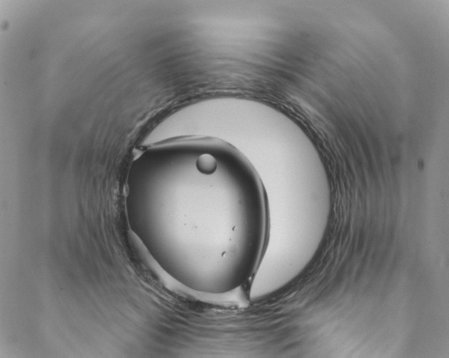 X0000088470556200706121532