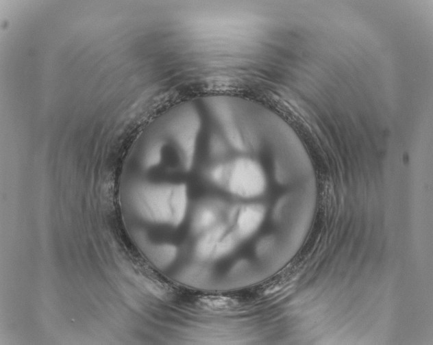 X0000088470557200706121532