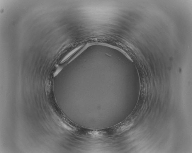 X0000088470558200706121532