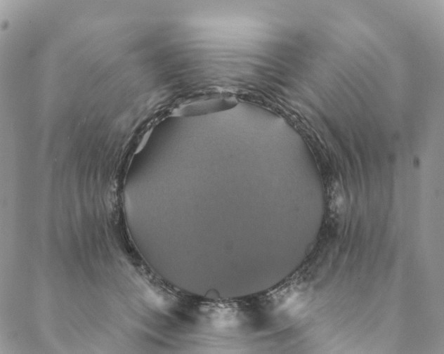 X0000088470559200706121532