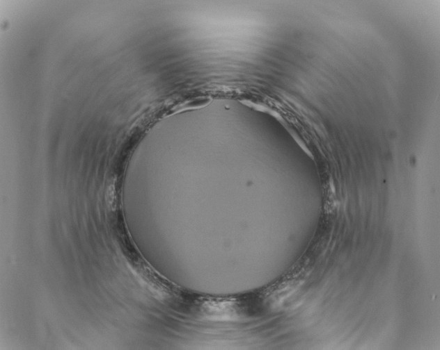 X0000088470560200706121532