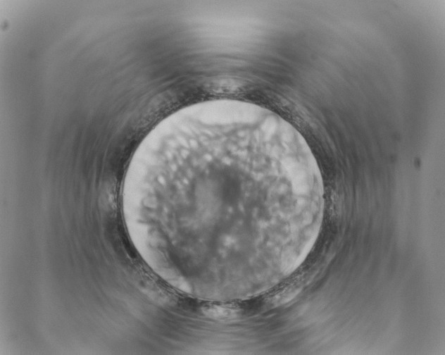 X0000088470561200706121532