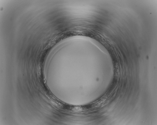 X0000088470562200706121532