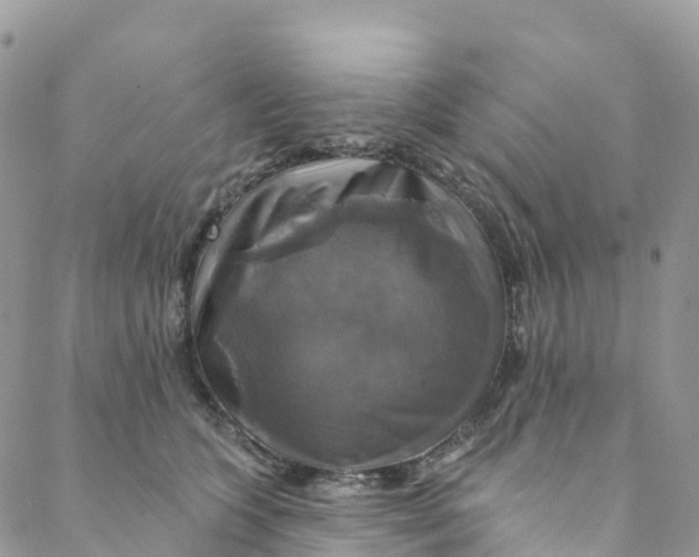 X0000088470563200706121532