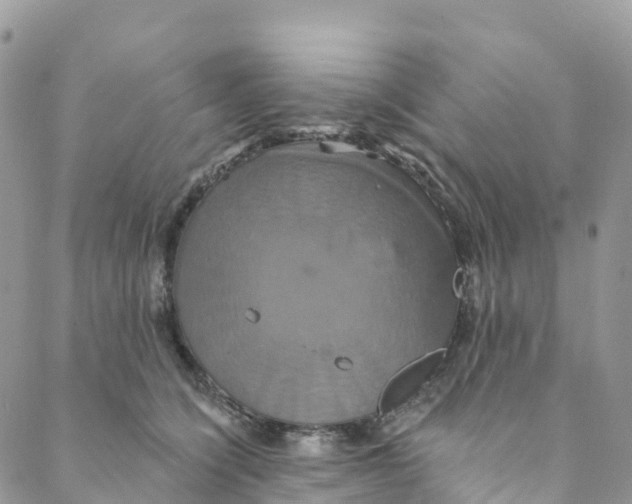 X0000088470564200706121532