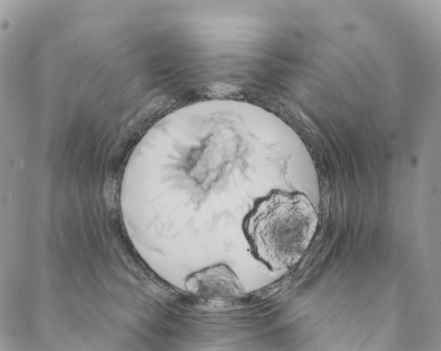 X0000088470565200706121532