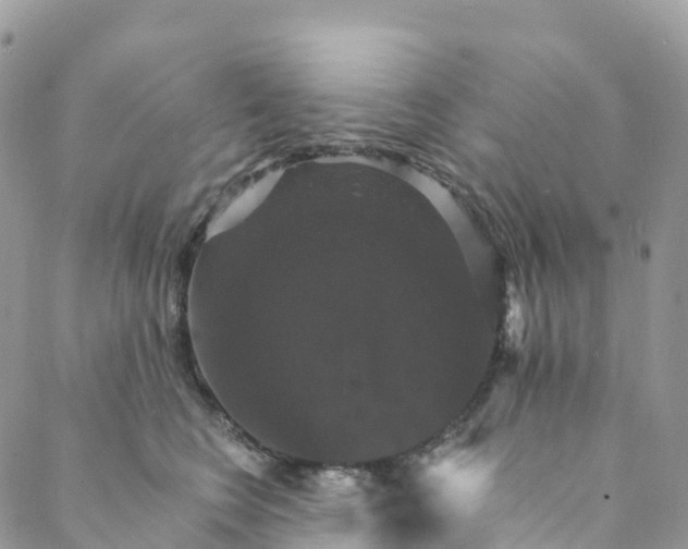 X0000088470566200706121532