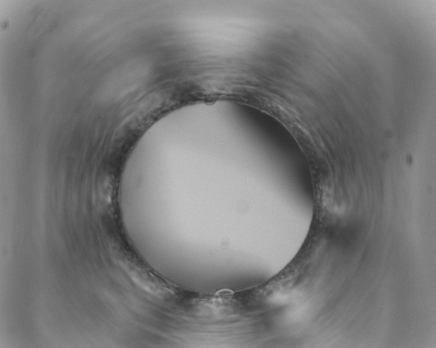 X0000088470567200706121532