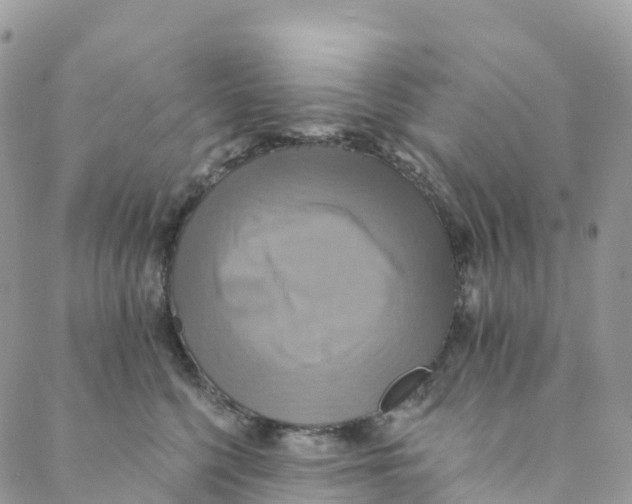 X0000088470568200706121532