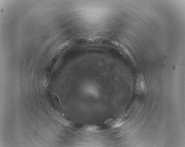 X0000088470569200706121532