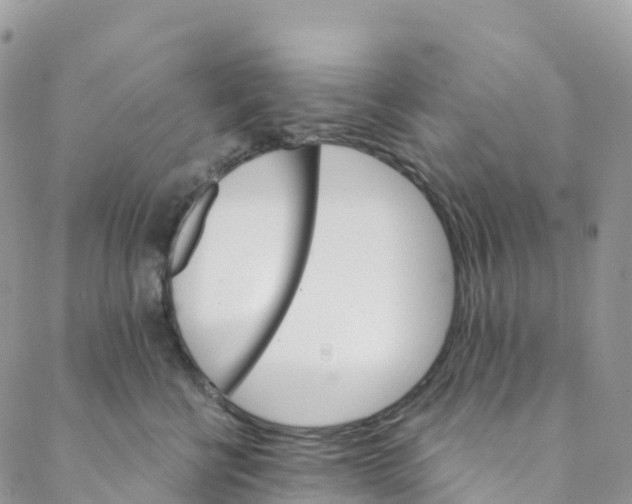 X0000088470570200706121532