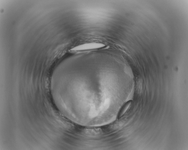 X0000088470571200706121532