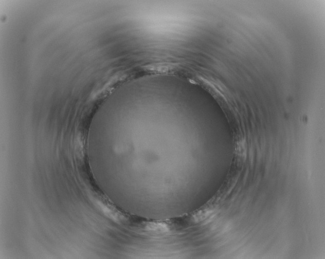 X0000088470572200706121532