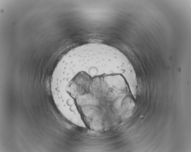 X0000088470573200706121532