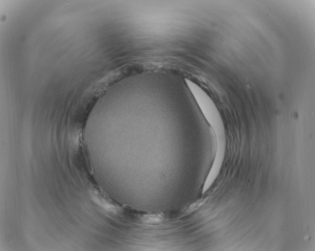 X0000088470574200706121532