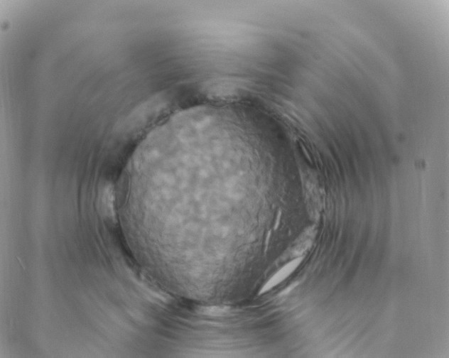 X0000088470575200706121532