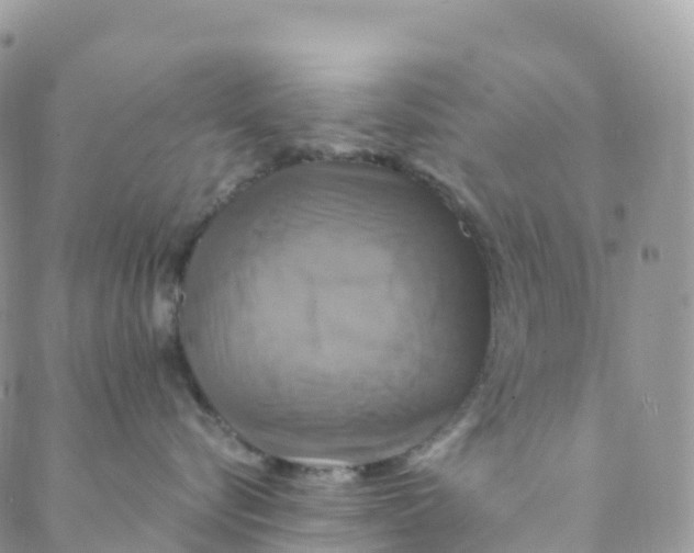 X0000088470576200706121532