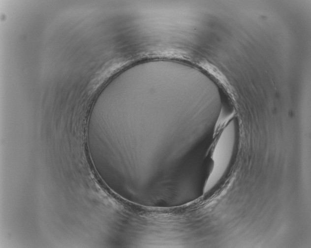 X0000088470577200706121531