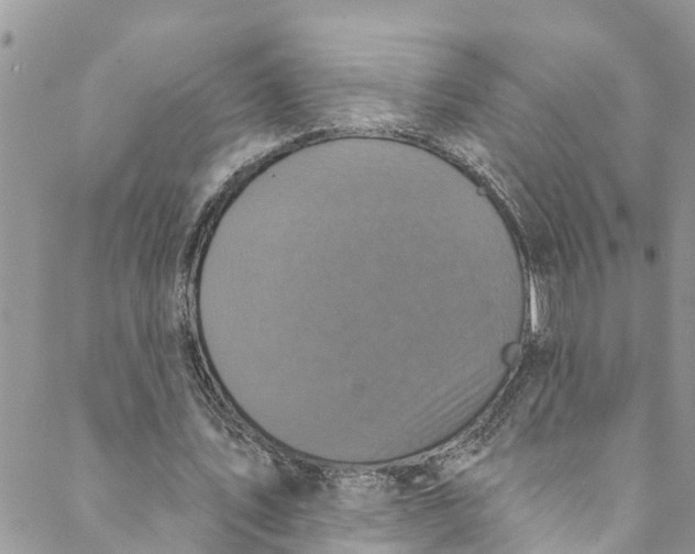 X0000088470579200706121531