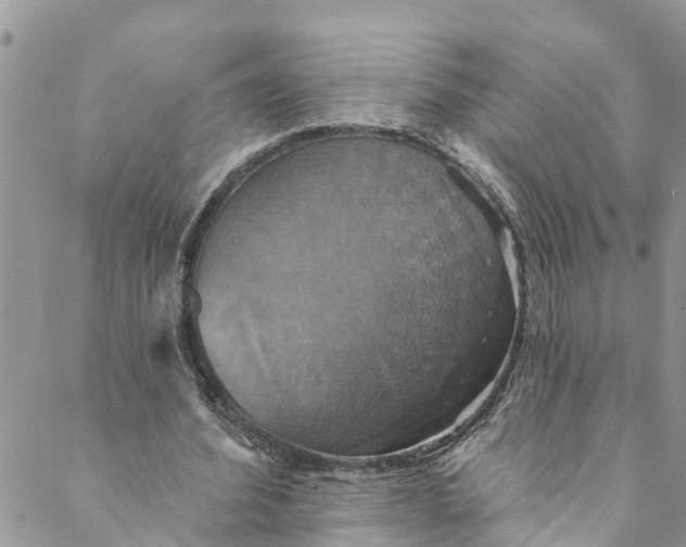 X0000088470580200706121531