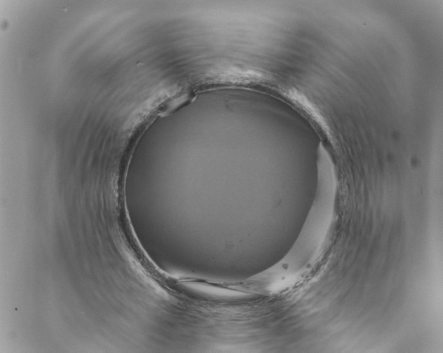 X0000088470581200706121531