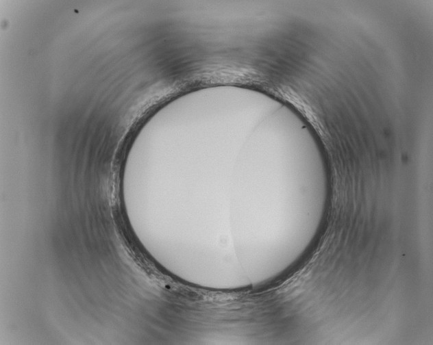 X0000088470582200706121531