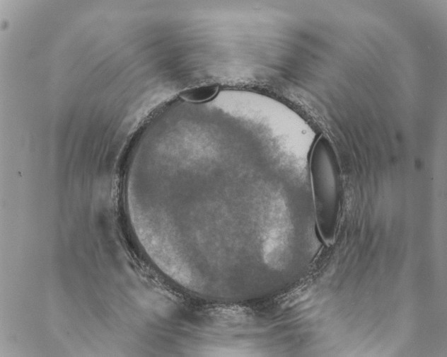 X0000088470583200706121531