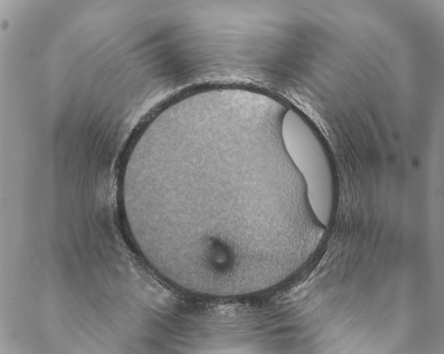 X0000088470584200706121531