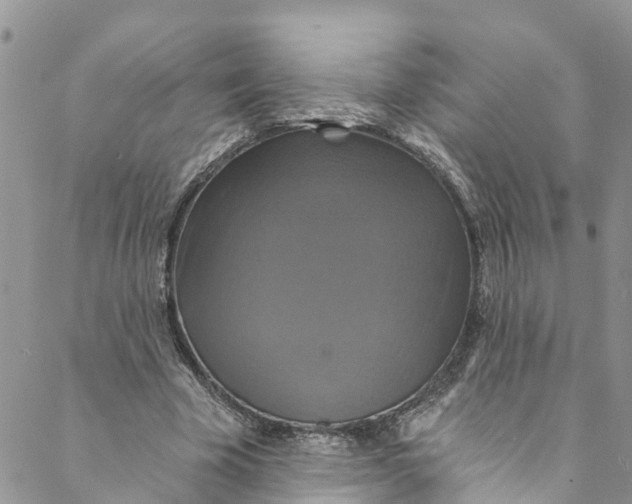 X0000088470585200706121531