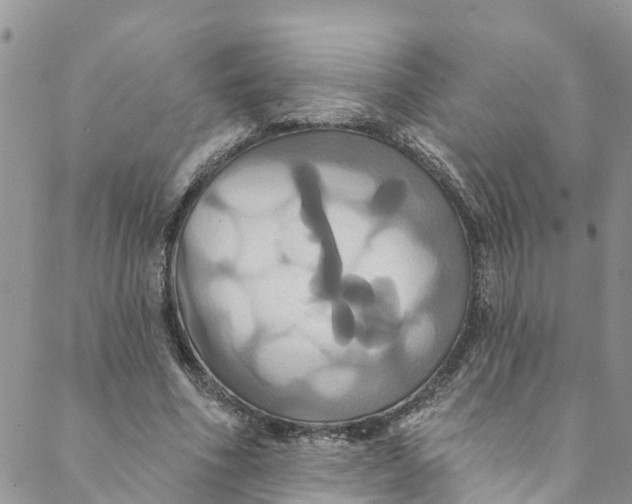 X0000088470586200706121531