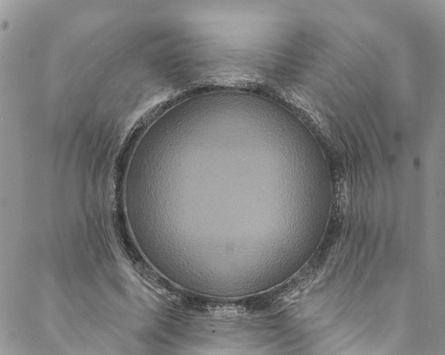 X0000088470587200706121531