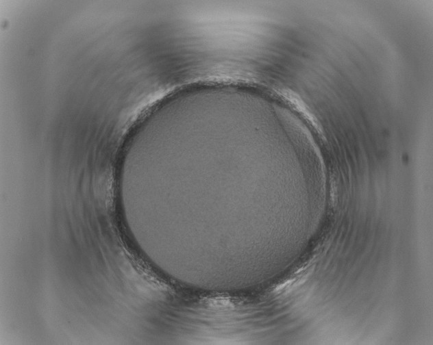 X0000088470588200706121531