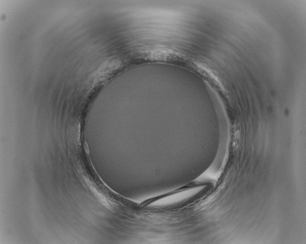 X0000088470589200706121531