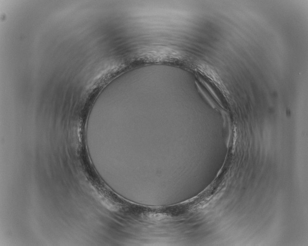 X0000088470590200706121531