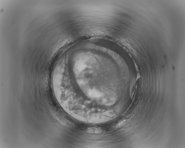 X0000088470591200706121531