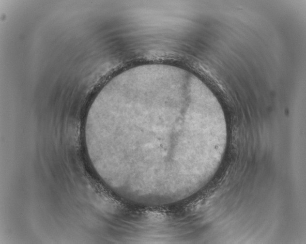 X0000088470592200706121531