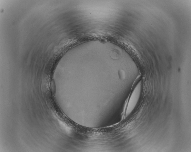 X0000088470593200706121531