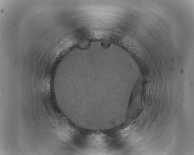 X0000088470595200706121531