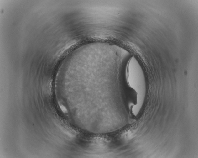 X0000088470596200706121531