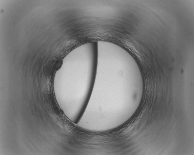 X0000088470597200706121531