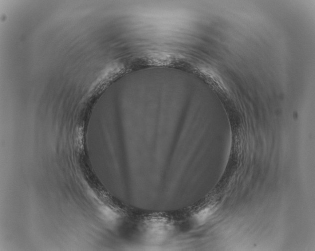 X0000088470598200706121531