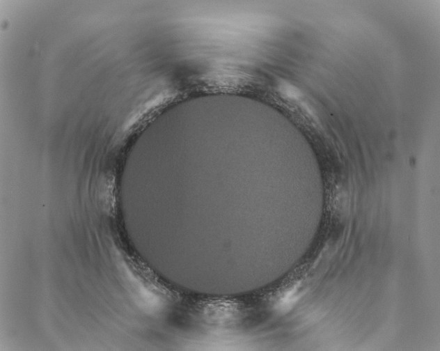 X0000088470599200706121531